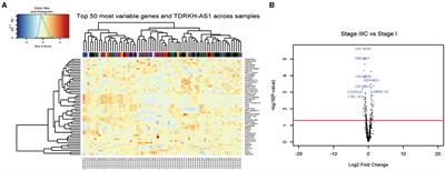 Long Non-coding RNA TDRKH-AS1 Promotes Colorectal Cancer Cell Proliferation and Invasion Through the β-Catenin Activated Wnt Signaling Pathway